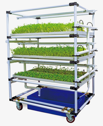 Microgreen Growing System